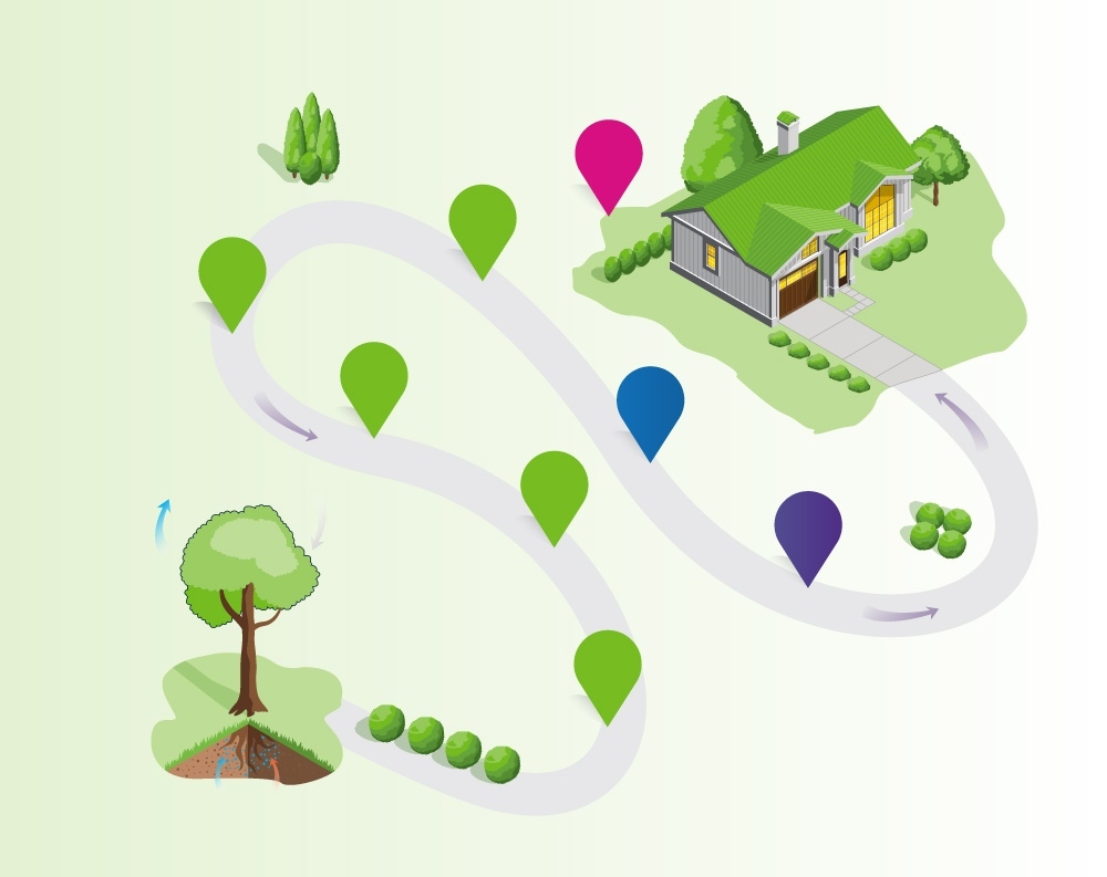 The Carbon Emissions Journey